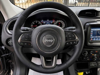 Jeep Renegade 1.6 Mjt 130 CV Limited (12)