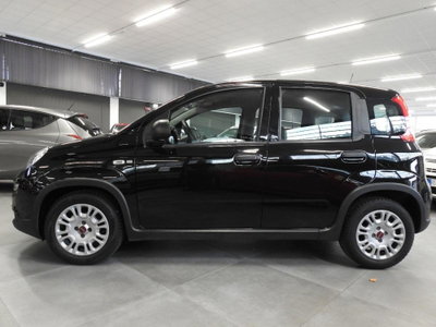 Fiat Panda 1.0 firefly hybrid s&s 70cv 5p.ti usata
