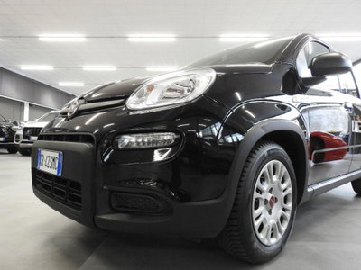 Fiat Panda 1.0 firefly hybrid s&s 70cv 5p.ti (2)