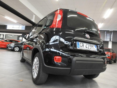 Fiat Panda 1.0 firefly hybrid s&s 70cv 5p.ti (5)