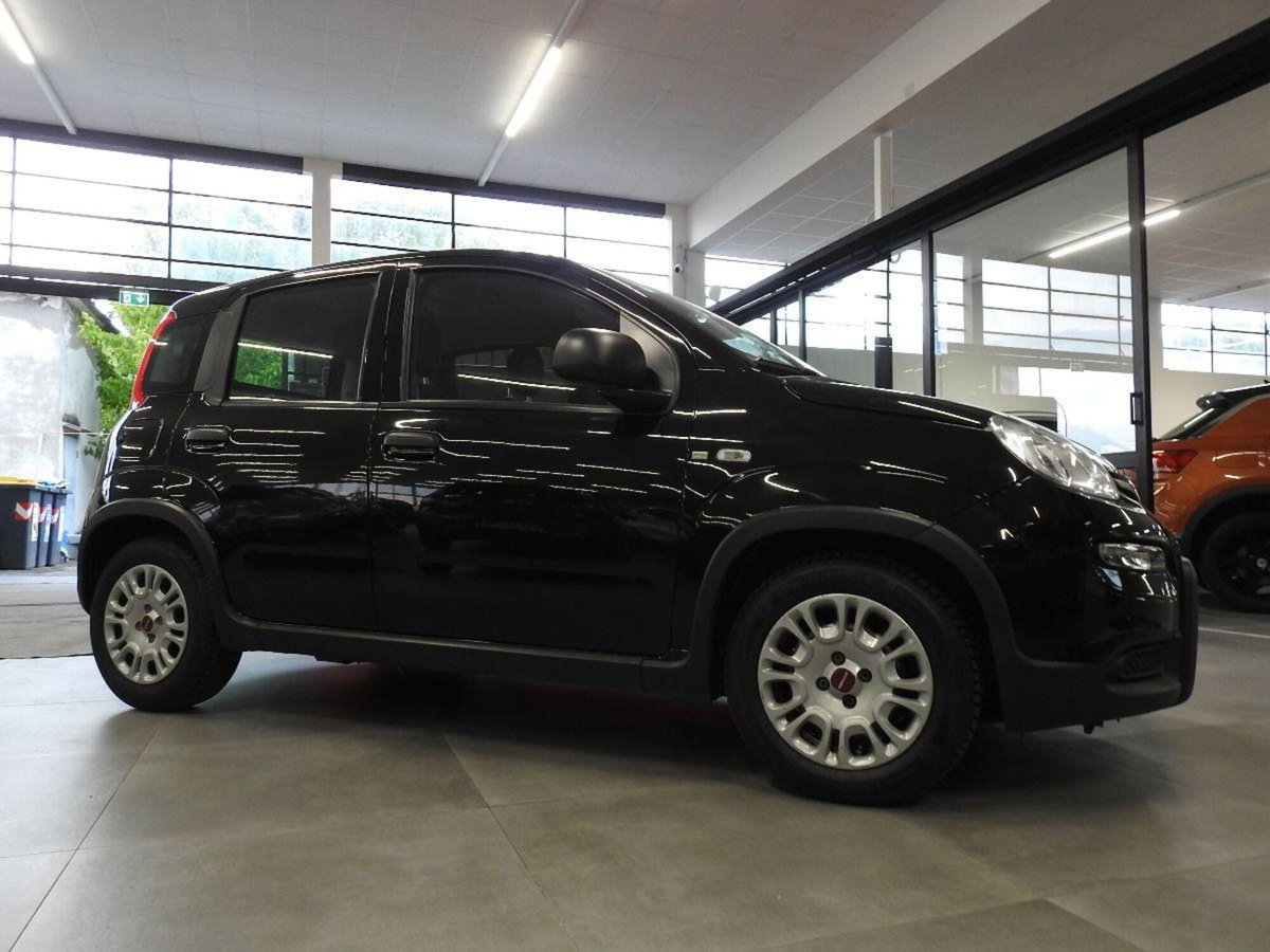 Fiat Panda 1.0 firefly hybrid s&s 70cv 5p.ti (7)