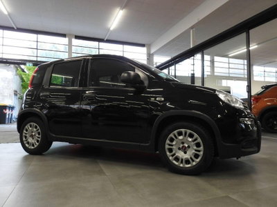 Fiat Panda 1.0 firefly hybrid s&s 70cv 5p.ti (7)