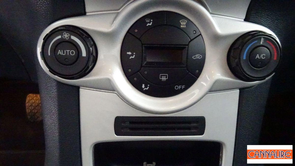 Ford Fiesta 1.4 96CV aut. 5 porte Titanium (12)
