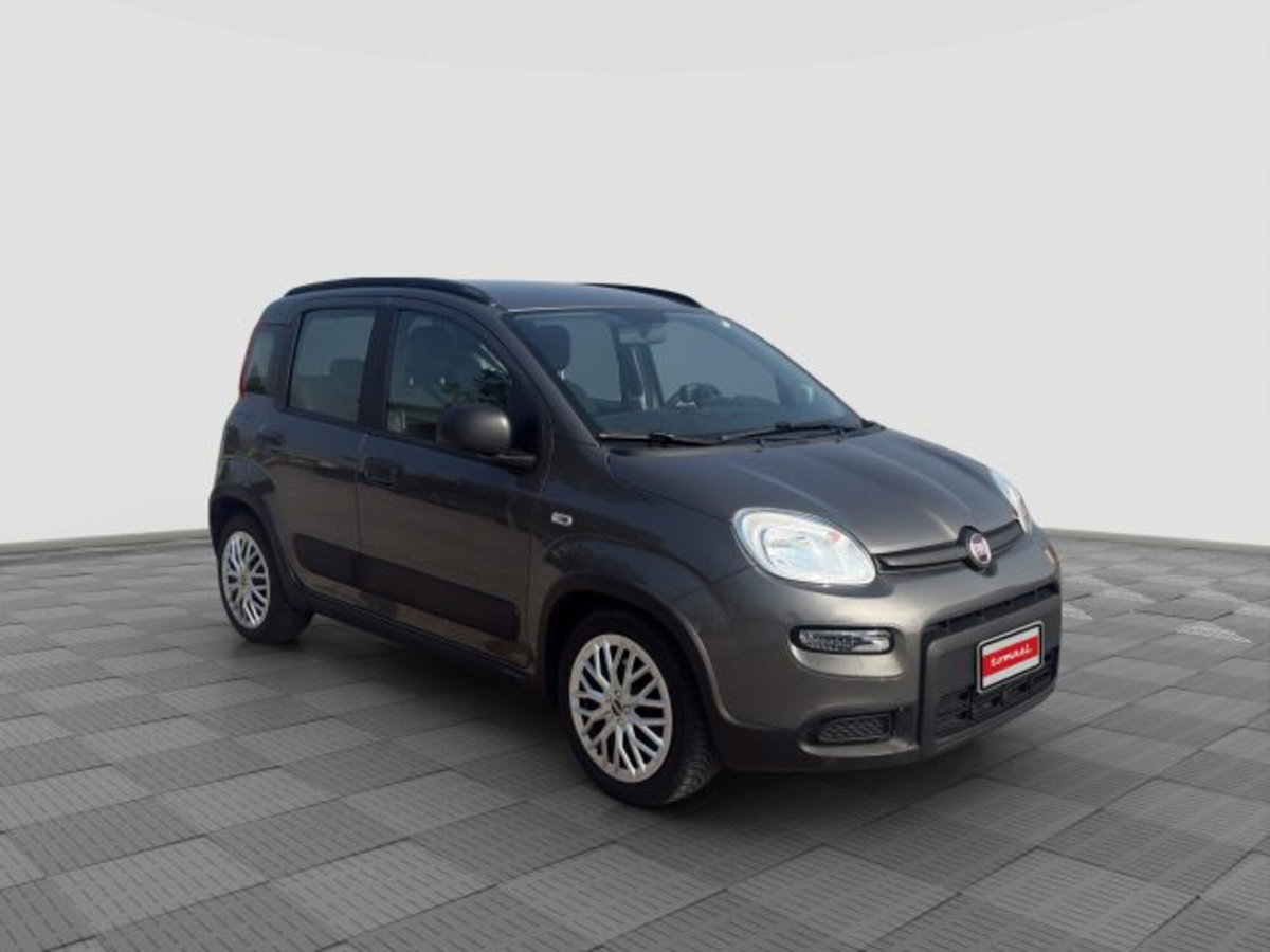 Fiat Panda 1.0 FireFly S&S Hybrid City Cross (8)