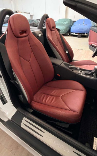 Mercedes-Benz SLK 350 cat (10)