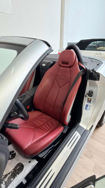 Mercedes-Benz SLK 350 cat (11)