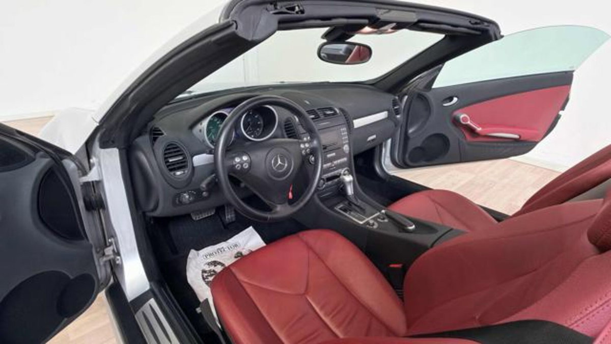 Mercedes-Benz SLK 350 cat (12)
