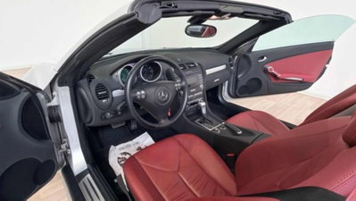 Mercedes-Benz SLK 350 cat (12)