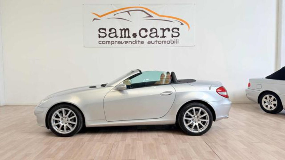 Mercedes-Benz SLK 350 cat (2)