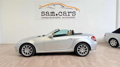Mercedes-Benz SLK 350 cat (2)