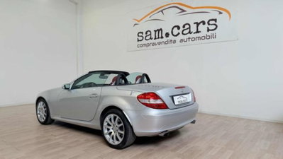 Mercedes-Benz SLK 350 cat (3)
