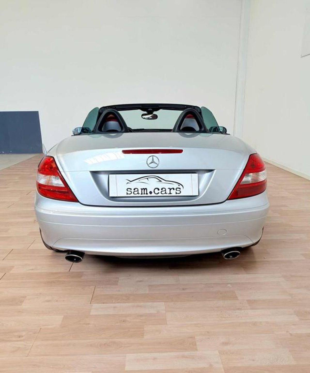 Mercedes-Benz SLK 350 cat (4)