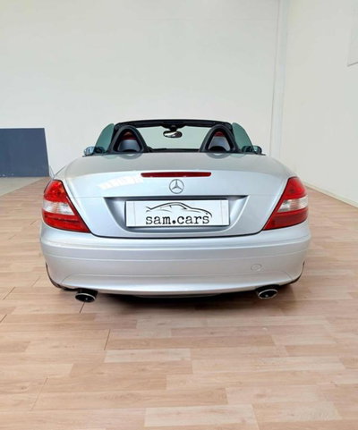 Mercedes-Benz SLK 350 cat (4)