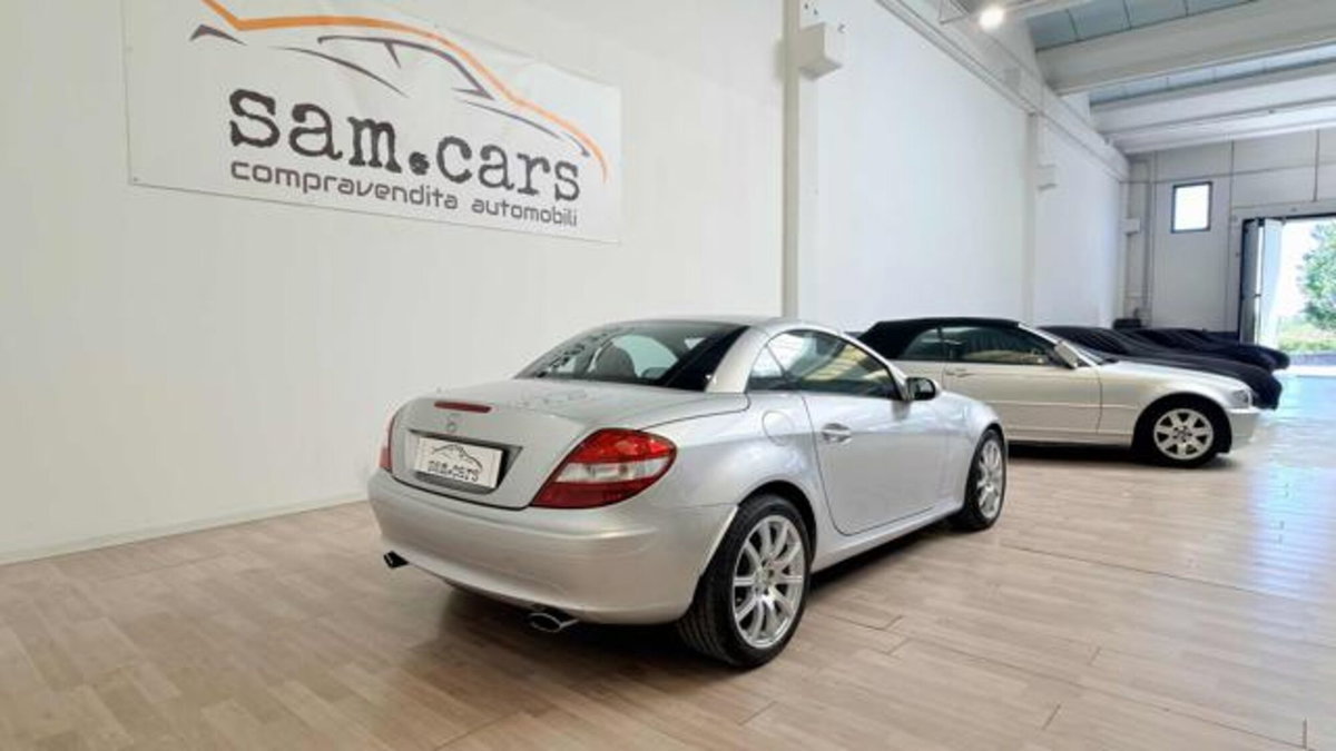 Mercedes-Benz SLK 350 cat (5)