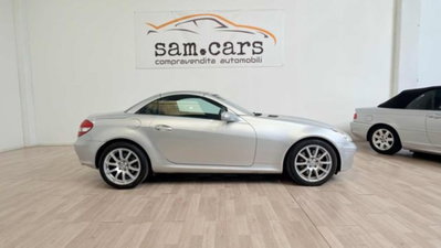 Mercedes-Benz SLK 350 cat (6)