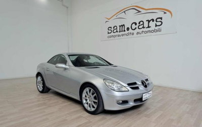 Mercedes-Benz SLK 350 cat (7)