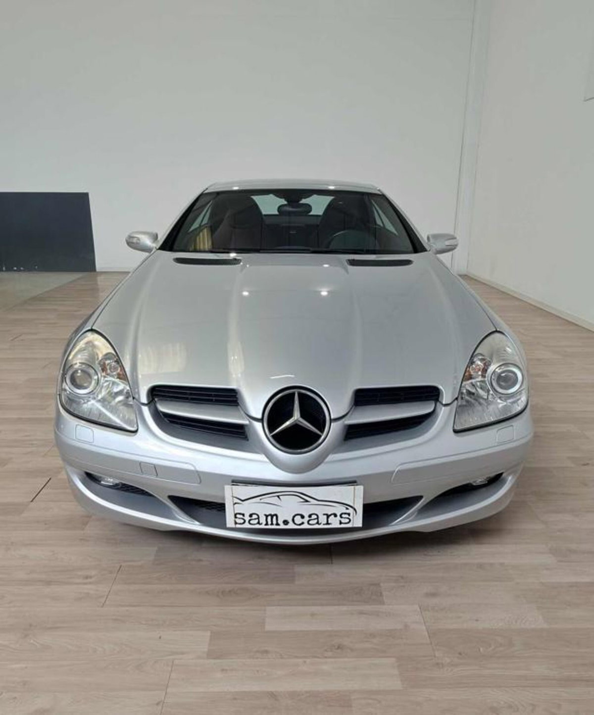 Mercedes-Benz SLK 350 cat (8)