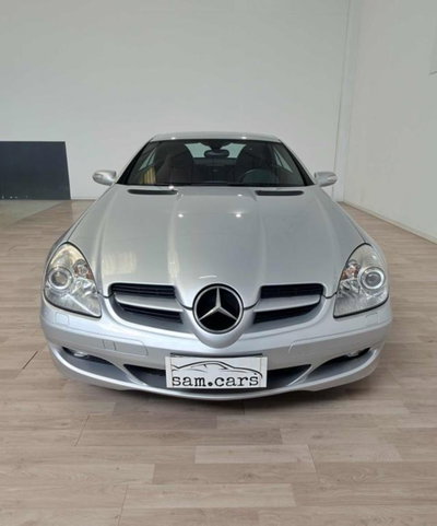 Mercedes-Benz SLK 350 cat (8)