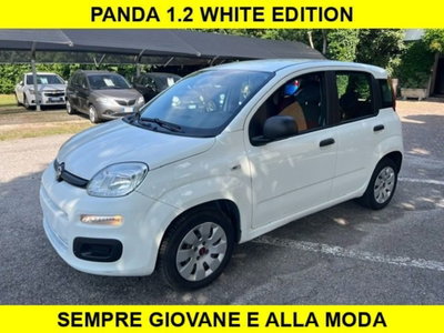 Fiat Panda 1.2 usata