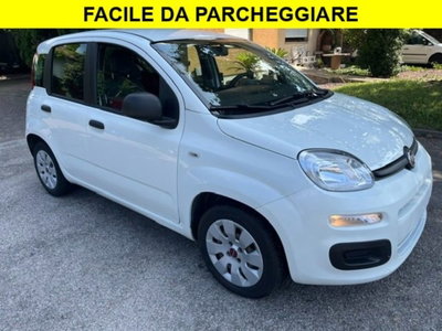 Fiat Panda 1.2 (3)
