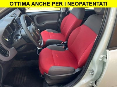 Fiat Panda 1.2 (8)