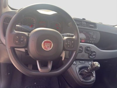 Fiat Panda 1.0 FireFly S&S Hybrid City Cross (12)