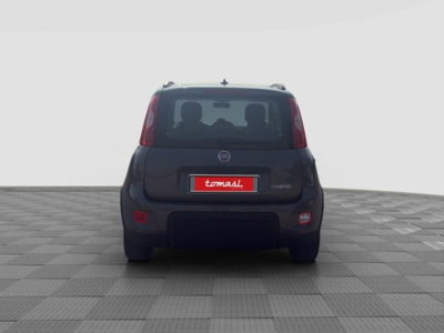 Fiat Panda 1.0 FireFly S&S Hybrid City Cross (5)