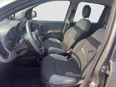 Fiat Panda 1.0 FireFly S&S Hybrid City Cross (9)
