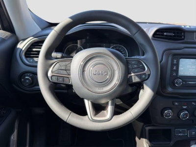 Jeep Renegade 1.6 Mjt 130 CV Longitude (13)