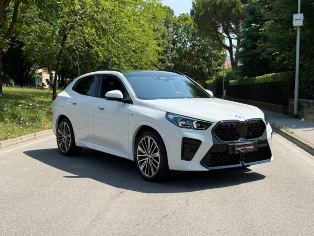 BMW X2 sdrive 18d MSport auto (19)