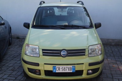 Fiat Panda 1.2 Dynamic usata