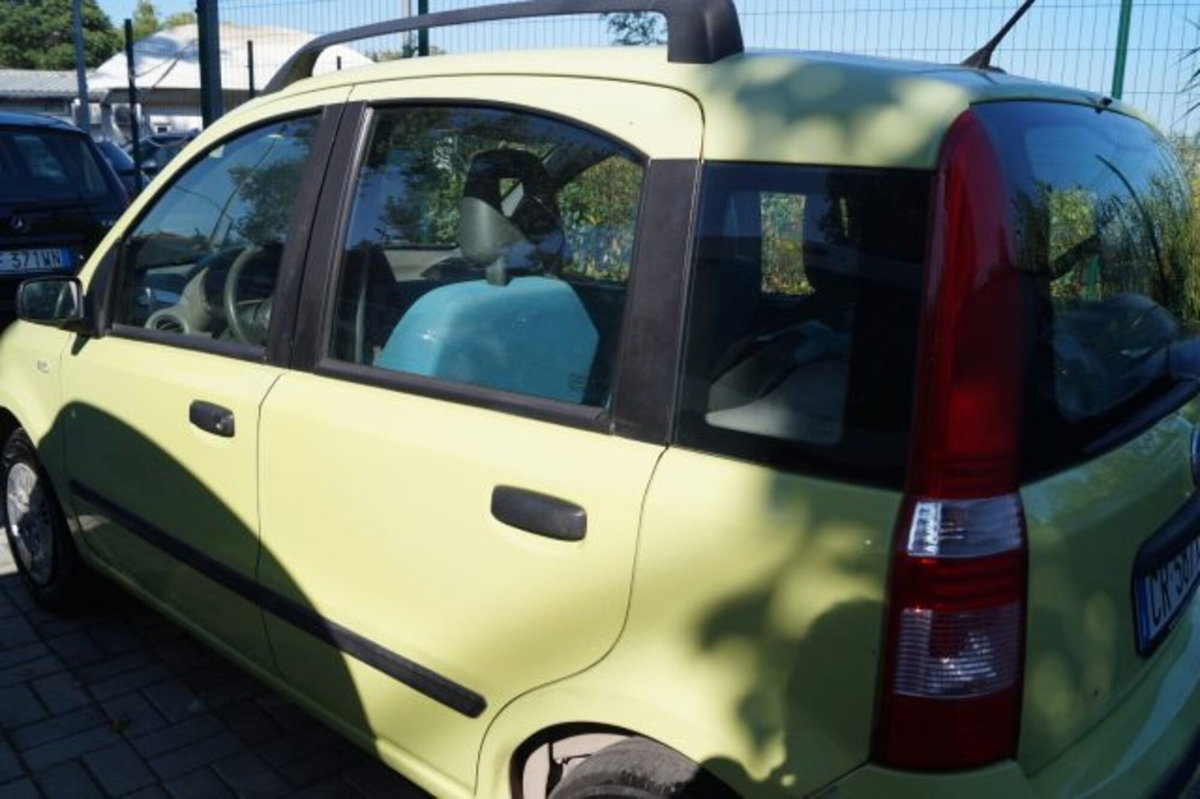 Fiat Panda 1.2 Dynamic (6)