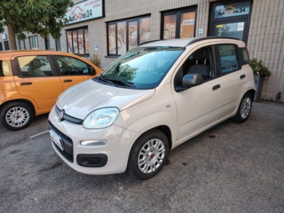 Fiat Panda 1.2 EasyPower Easy usata