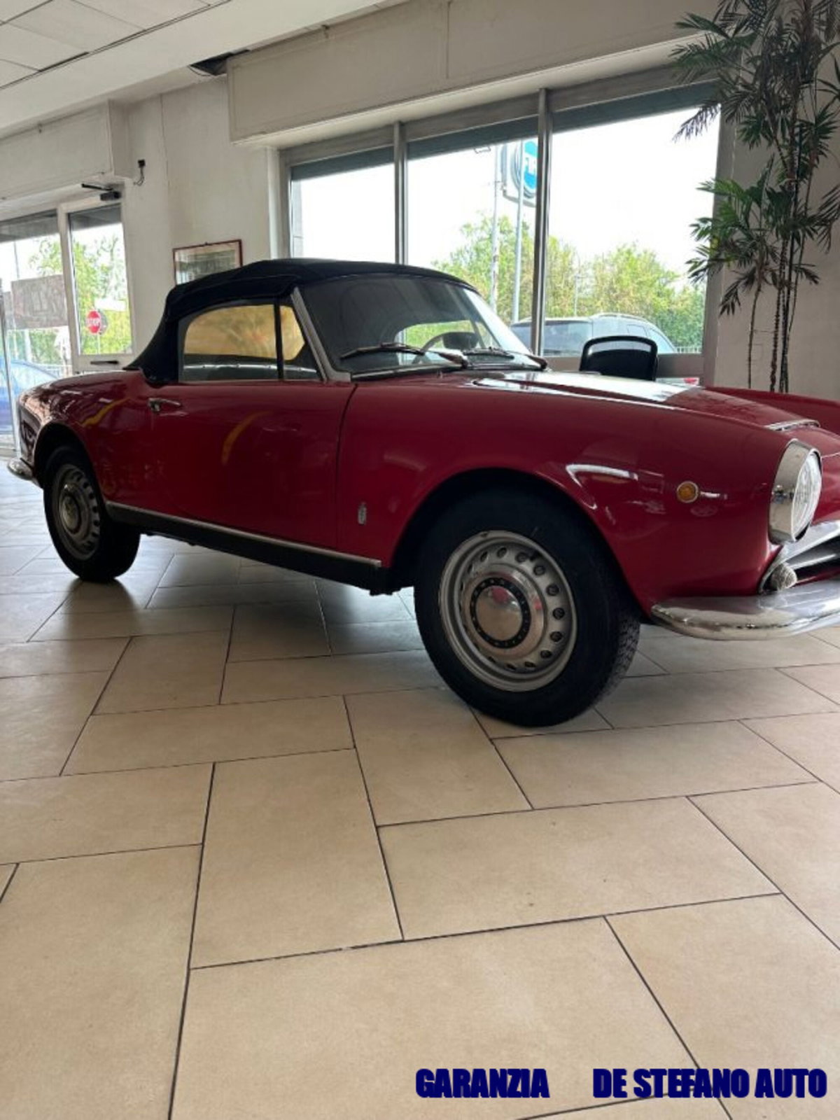 Alfa Romeo Spider 1.6 (2)