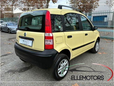Fiat Panda 1.2 4x4 (4)