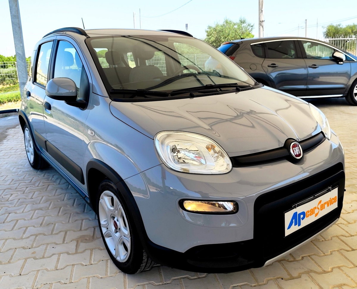 Fiat Panda 1.0 FireFly S&S Hybrid City Cross (2)