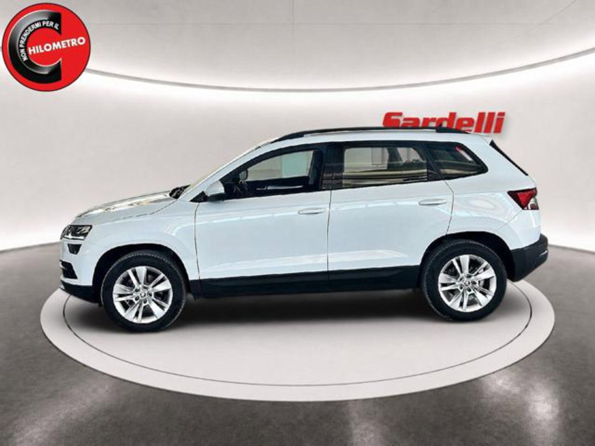 Skoda Karoq 2.0 TDI EVO SCR 115 CV DSG Executive (5)