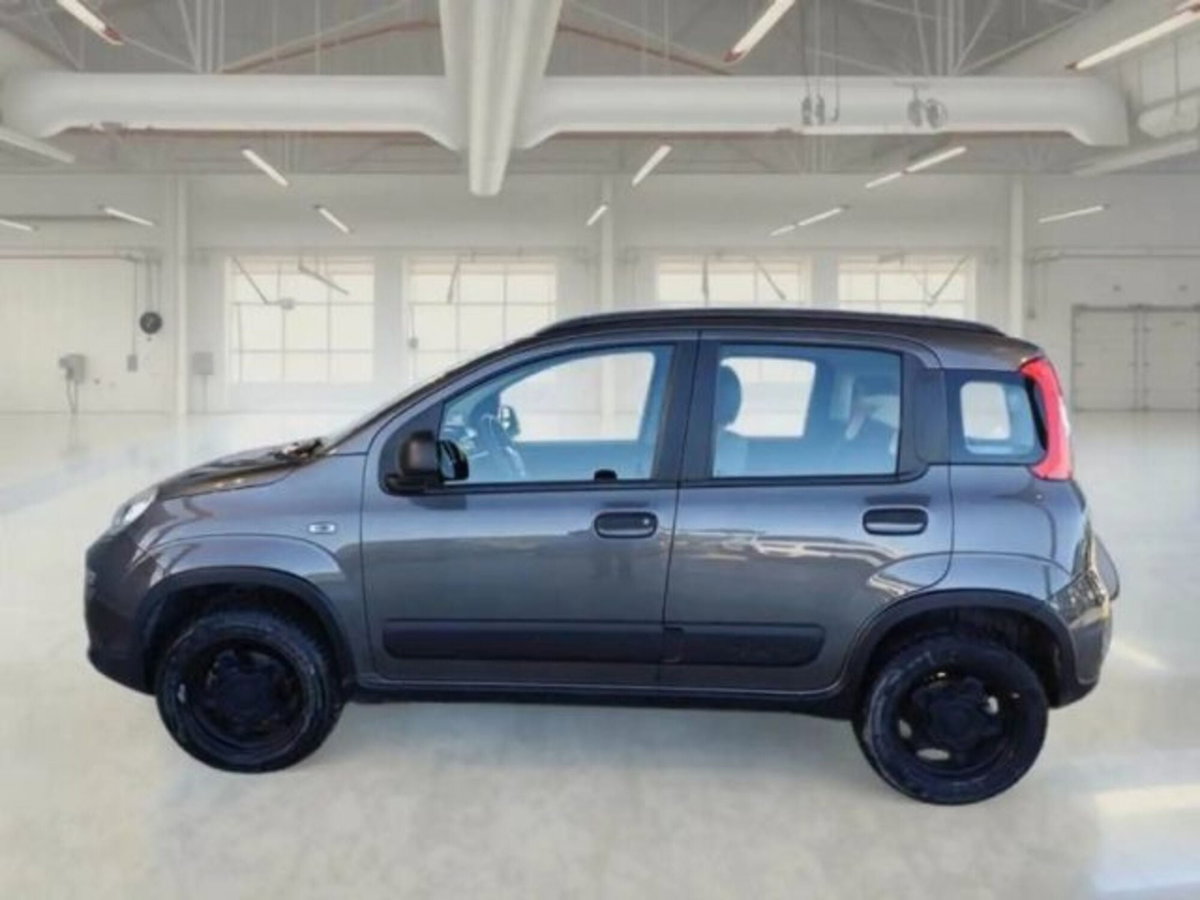 Fiat Panda 0.9 TwinAir Turbo S&S 4x4 Wild (3)