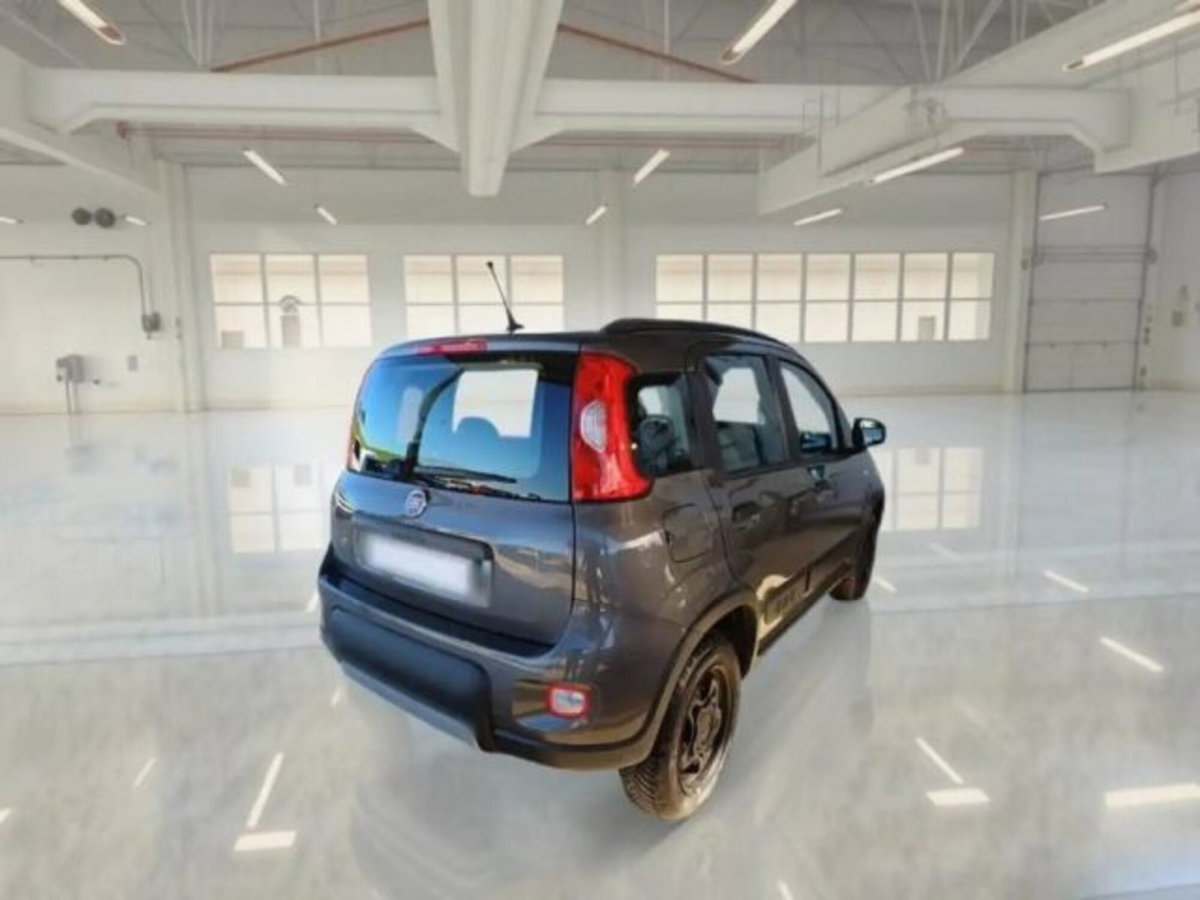 Fiat Panda 0.9 TwinAir Turbo S&S 4x4 Wild (4)