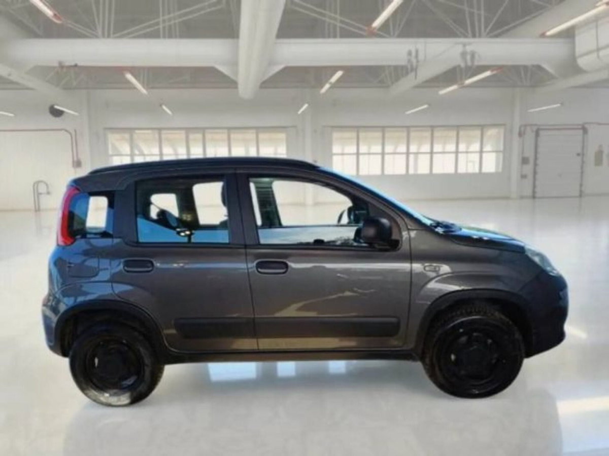 Fiat Panda 0.9 TwinAir Turbo S&S 4x4 Wild (5)