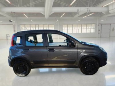 Fiat Panda 0.9 TwinAir Turbo S&S 4x4 Wild (5)