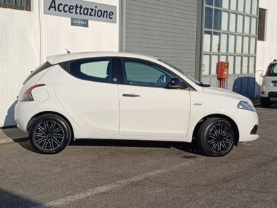Lancia Ypsilon 1.2 69 CV 5 porte GPL Ecochic Gold (3)