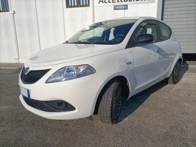 Lancia Ypsilon 1.2 69 CV 5 porte GPL Ecochic Gold (4)