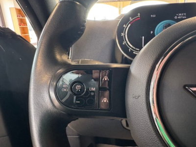 MINI Mini Countryman 2.0 Cooper D Classic Countryman (5)