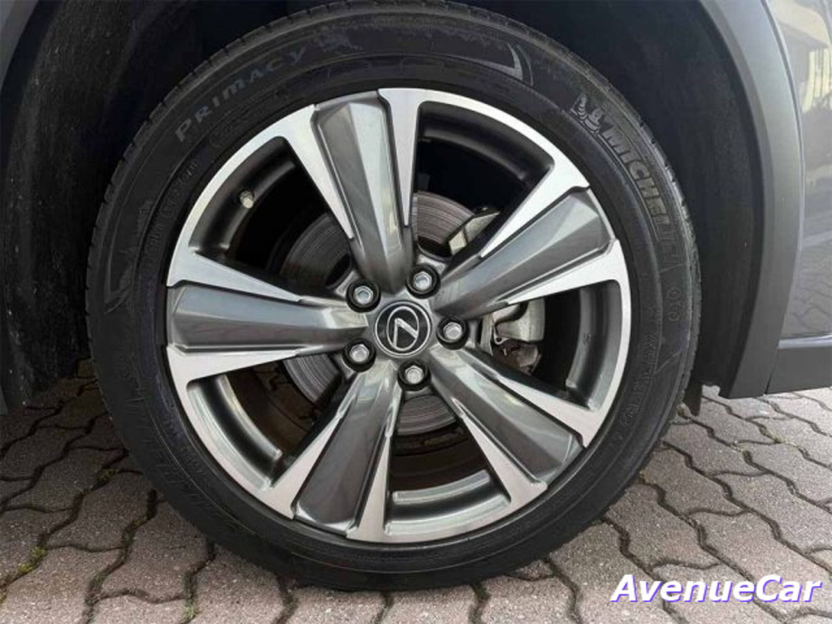 Lexus UX Full Electric Premium (10)