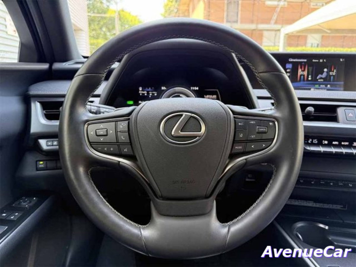 Lexus UX Full Electric Premium (12)