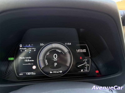 Lexus UX Full Electric Premium (13)