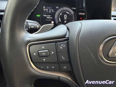 Lexus UX Full Electric Premium (14)