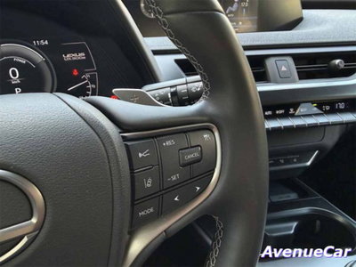 Lexus UX Full Electric Premium (15)