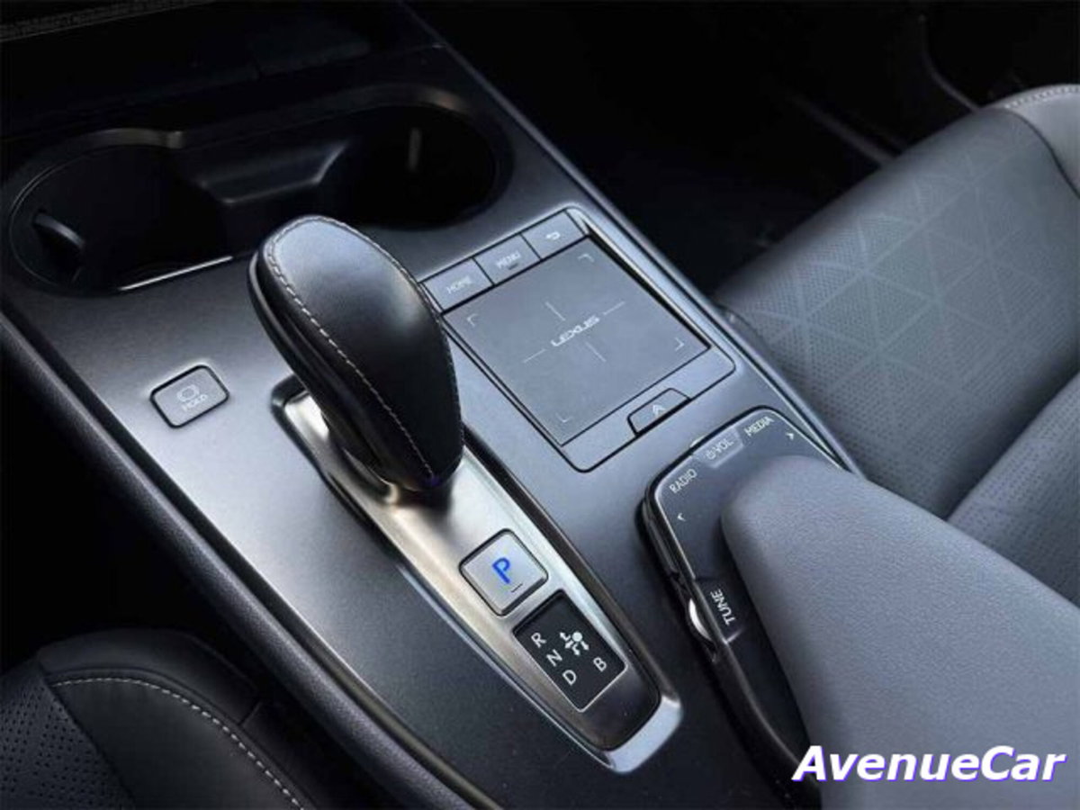 Lexus UX Full Electric Premium (17)